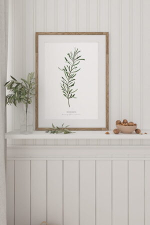 Poster di rosmarino per la casa | Poster per la casa Collezione di erbe aromatiche | Decorazione d'interni per la casa