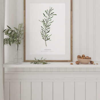 Rosemary poster for home | Poster for home Herbs collection | room interior decoration for home.