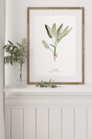 Sage poster for home | Poster for home Herbs collection | room interior decoration for home.