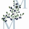 Blueberry Initial for en gutt Botany Collection | Interiørdekorasjon til et gutterom