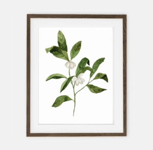 Mini magnolia poster I | Poster for child Forest collection | interior decoration of a child's room.