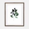Plakat Jeżyna dla domu | Plakat dla domu Kolekcja Botanika | dekoracja wnętrza pokoju dla domu