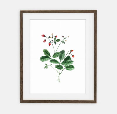 Level poster for home | Poster for home Botany collection | room interior decoration for home.
