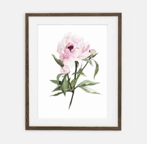 Poster di peonie per la casa | Poster per la casa Collezione di botanica | Decorazione d'interni per la casa