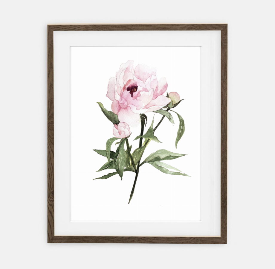 Peony poster for home | Poster for home Botany collection | room interior decoration for home.