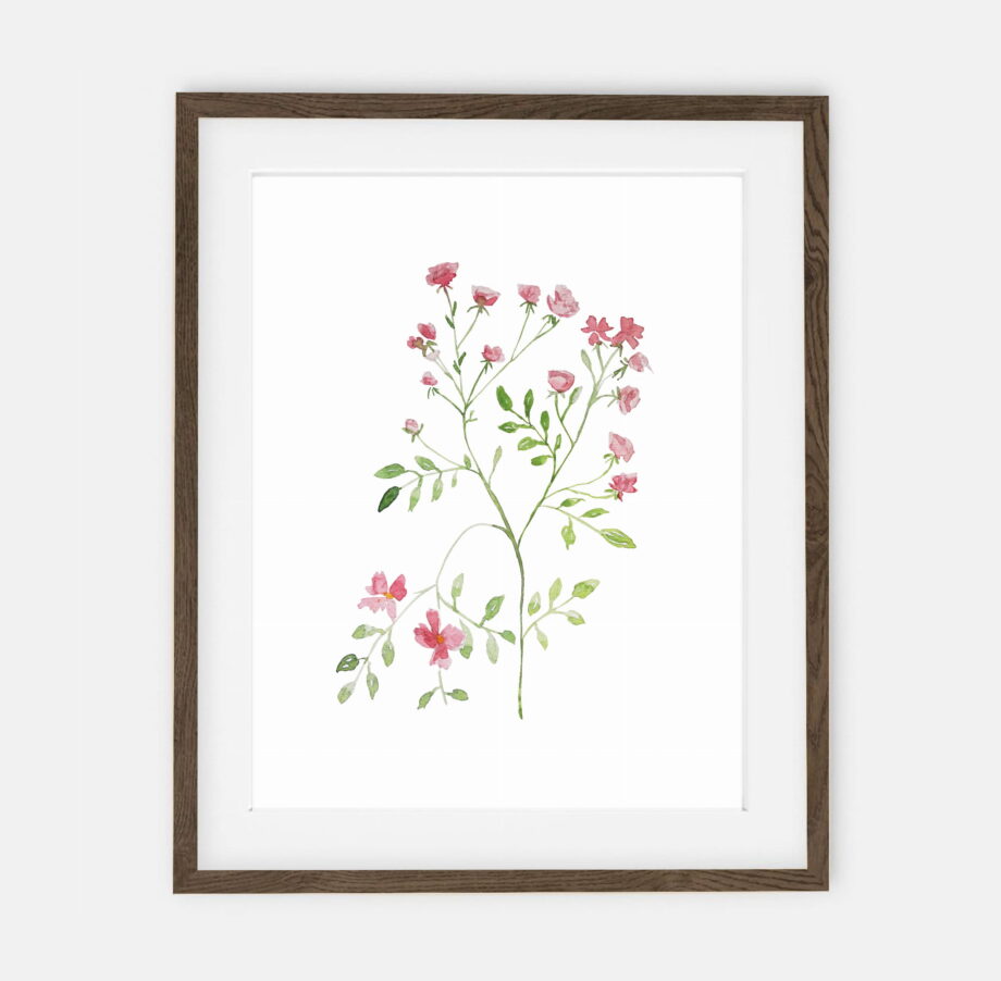 Fine Rose Poster for Home | Poster for Home Botany Collection | room interior decoration for home.