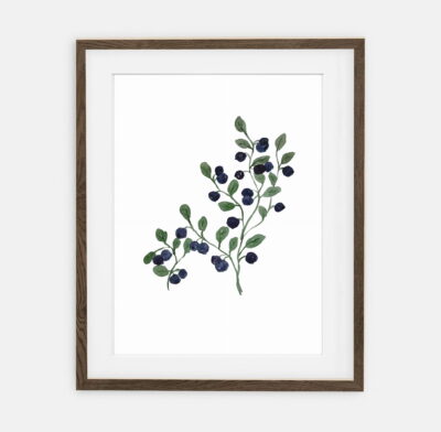 Blueberry poster for home | Poster for home Botany collection | room interior decoration for home.