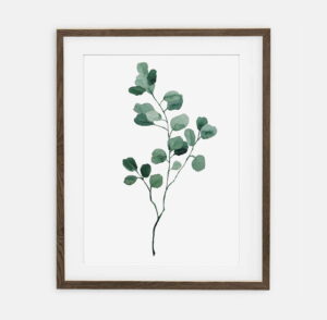 Eucalyptus Twig-plakat til hjemmet | Plakat til hjemmet Botanikksamling | rominnredning til hjemmet