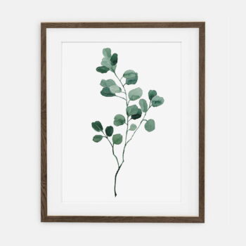 Plakat Eukaliptus Gałązka dla domu | Plakat dla domu Kolekcja Botanika | dekoracja wnętrza pokoju dla domu
