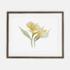 Freesia Two poster for home | Poster for home Botany collection | huoneen sisustus kotiin