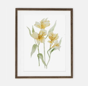 Freesia poster for home | Poster for home Botany collection | room interior decoration for home.