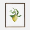 Poster citron pour la maison | Poster pour la maison Collection botanique | décoration intérieure de la pièce pour la maison