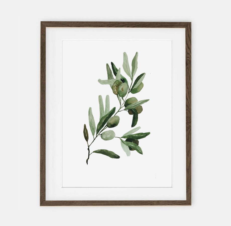 Olive I Poster für Zuhause | Poster für Zuhause Botanische Sammlung | Zimmereinrichtung für Zuhause