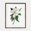 Magnolia poster for home | Poster for home Botany collection | room interior decoration for home.