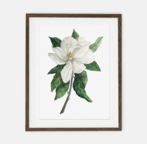 Poster Magnolia per la casa | Poster per la casa Collezione botanica | Decorazione d'interni per la casa