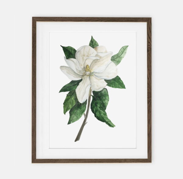 Magnolia poster for home | Poster for home Botany collection | room interior decoration for home.