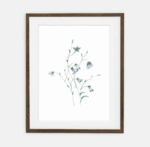 Póster Bluebells para el hogar | Póster para el hogar Colección Botánica | decoración interior para el hogar