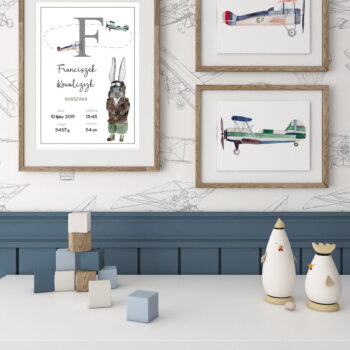 Plakatai Lėktuvai ir Aviator Rabbit