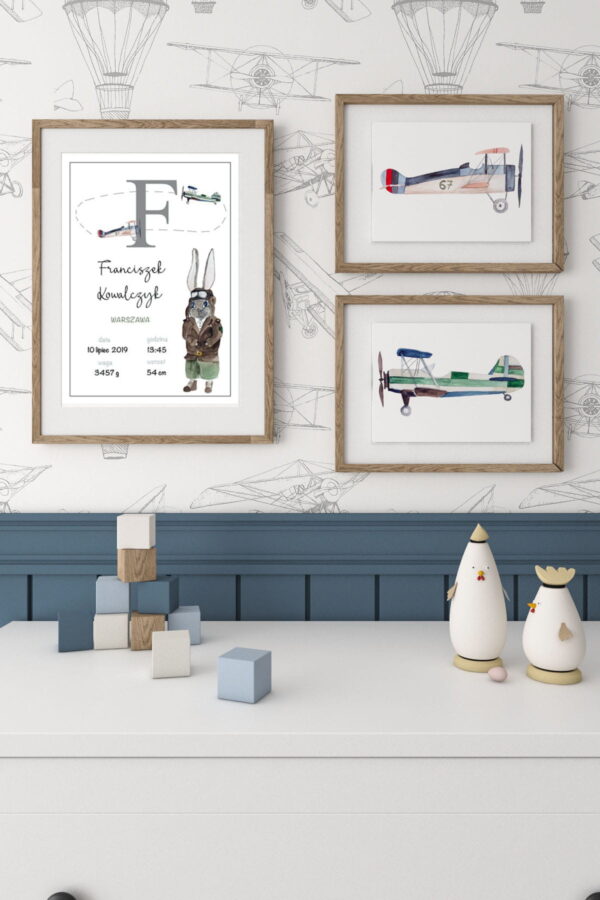 Airplanes and Aviator Rabbit Posters