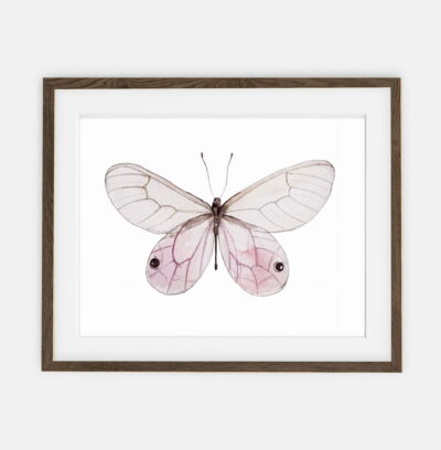 Plakat Motyl Rose dla domu | Plakat dla domu Kolekcja Botanika | dekoracja wnętrza pokoju dla domu