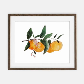 Plakat Kiść Pomarańczy dla domu | Plakat dla domu Kolekcja Botanika | dekoracja wnętrza pokoju dla domu