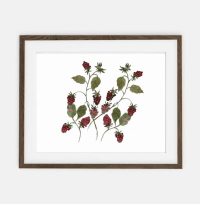 Raspberry Twig Poster for Home | Poster for Home Botany Collection | room interior decoration for home.