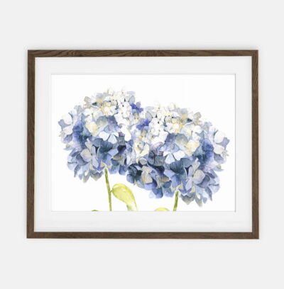 Wall posters Hydrangeas Couple for home | Poster for home Botany collection | room interior decoration for home.