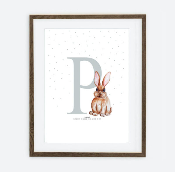 Peter and Dots Bunny Initial Baby Boy Retro Bunny Collection | Boy's Room Interior Decoration