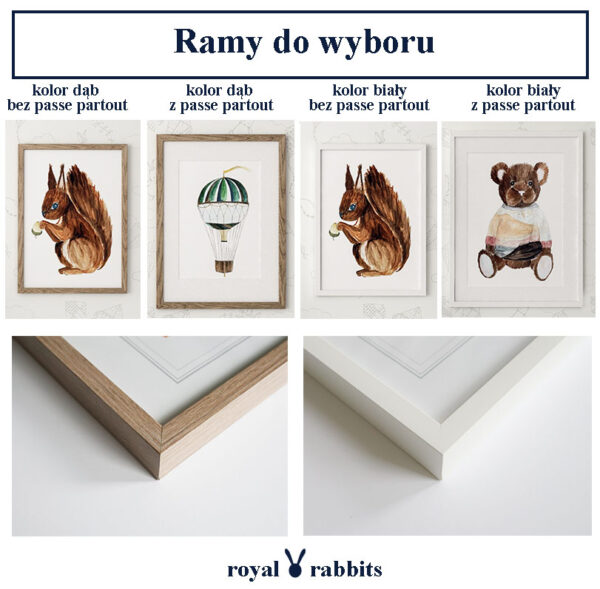 ramy royalrabbits