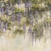 Wallpaper flowers hanging wisteria
