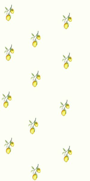 Tapeta cytryny - w rolce