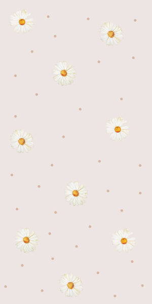 Tapeta w delikatne stokrotki na różowym tle - w rolce