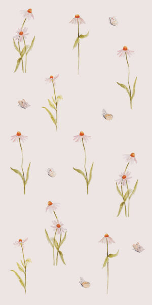 Tapeta kwiaty jeżówka - w rolce