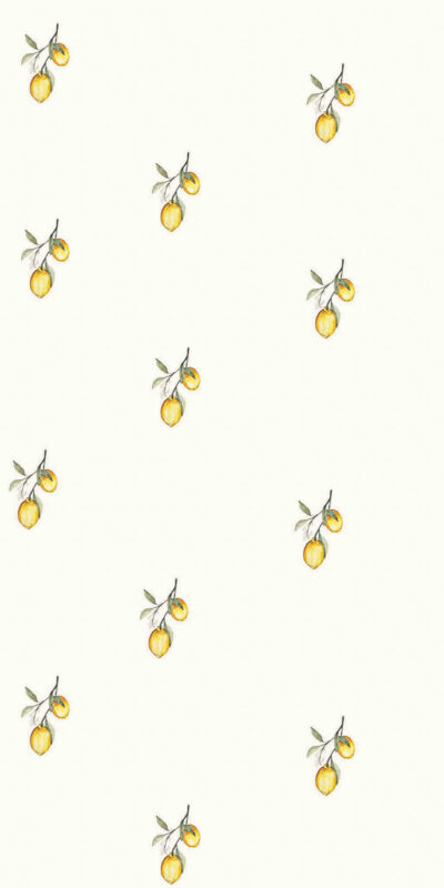 Tapeta cytryny - w rolce