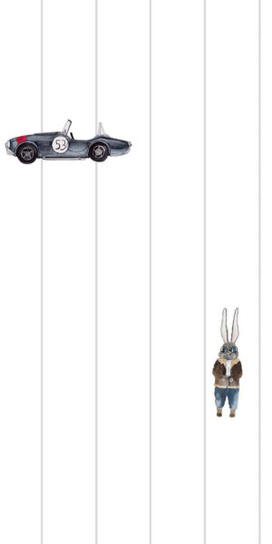 Tapeta w autka mustang i królik rajdowiec - w rolce