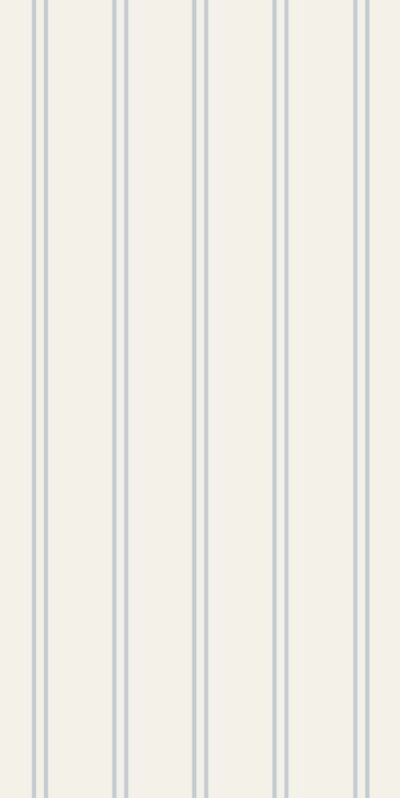 Wallpaper double blue stripes in a roll
