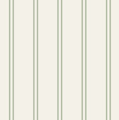 50x50 3